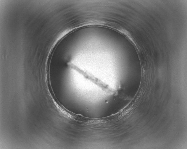 X0000056021143200509092132