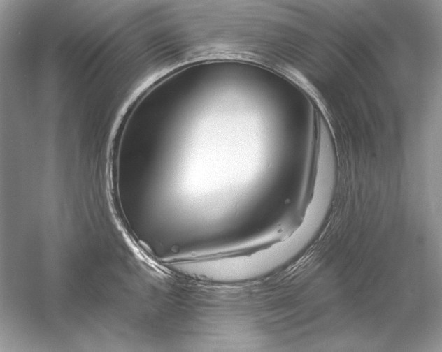 X0000056021144200509092132