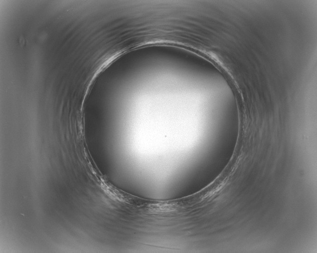 X0000056021145200509092132
