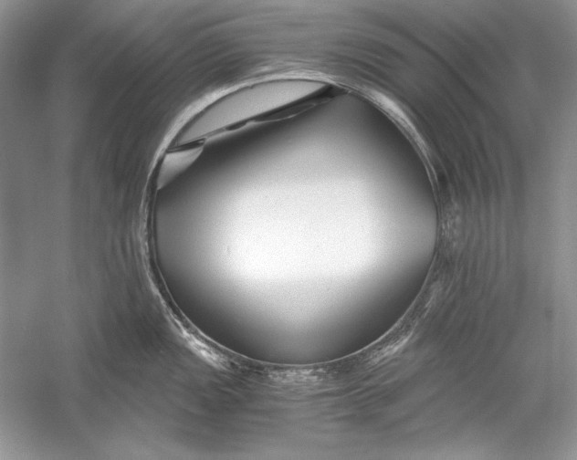 X0000056021149200509092132