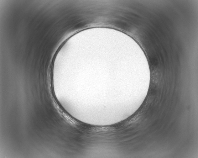X0000056021150200509092132