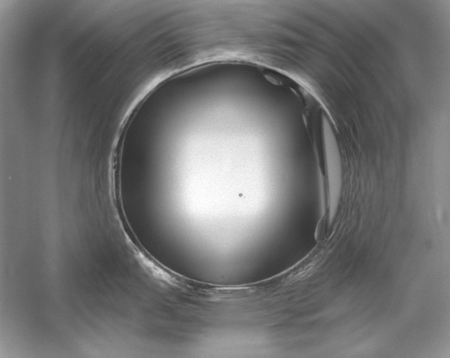 X0000056021151200509092132
