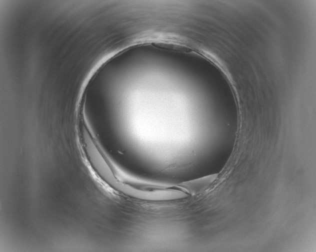 X0000056021152200509092132