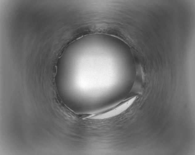 X0000056021153200509092131
