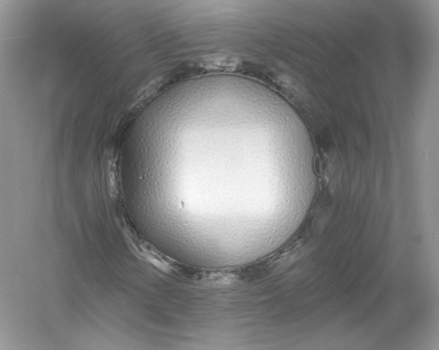 X0000056021154200509092131