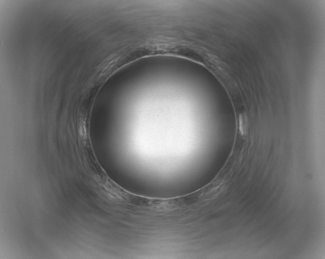 X0000056021155200509092131