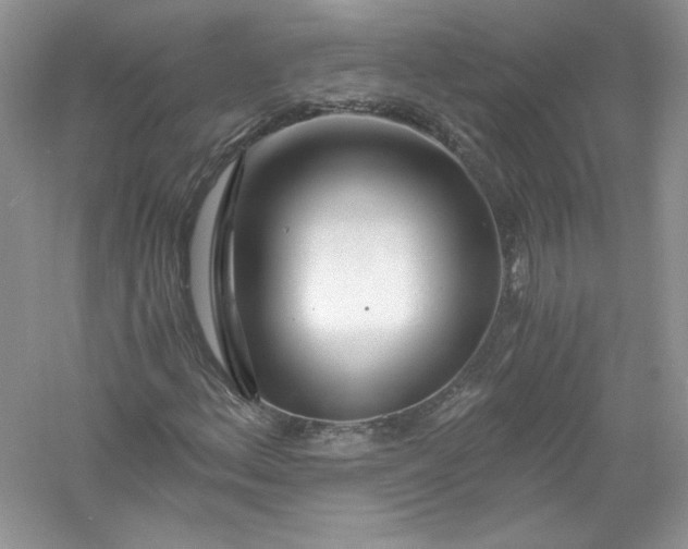 X0000056021156200509092131