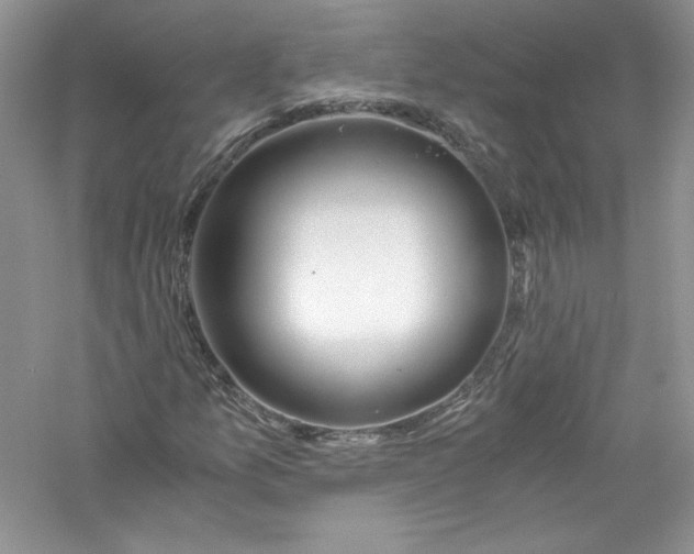 X0000056021157200509092131