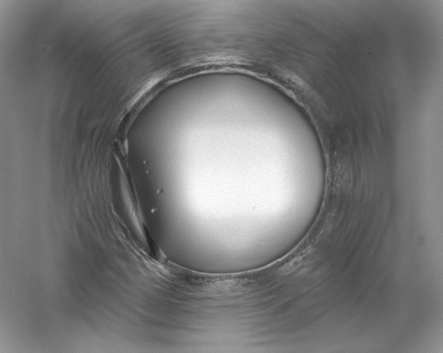 X0000056021162200509092131