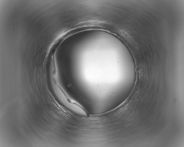 X0000056021164200509092131