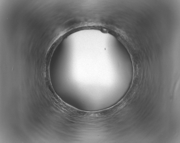 X0000056021165200509092131