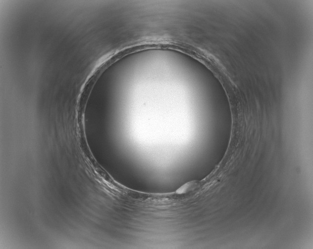 X0000056021168200509092131