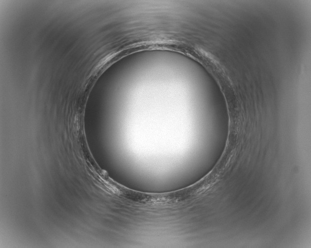 X0000056021169200509092131