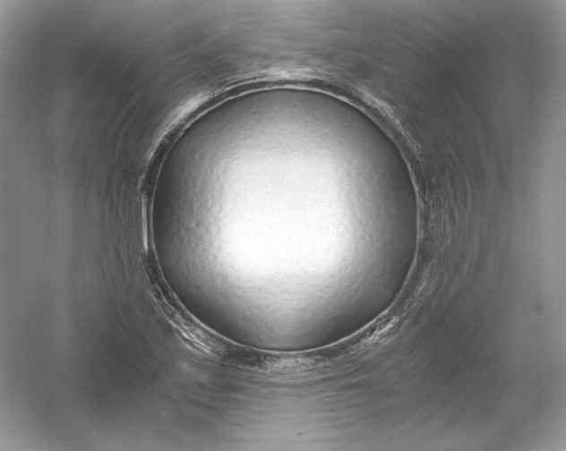 X0000056021171200509092131
