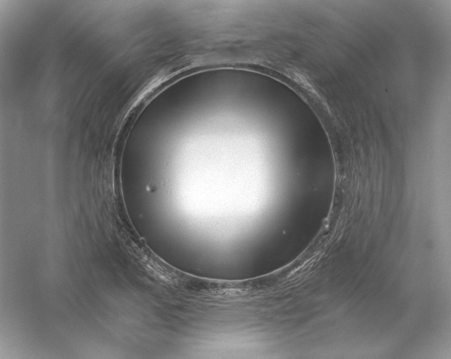 X0000056021173200509092131