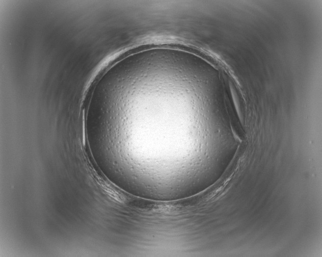 X0000056021175200509092131