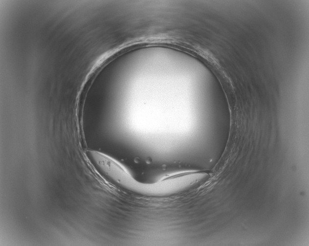 X0000056021176200509092131