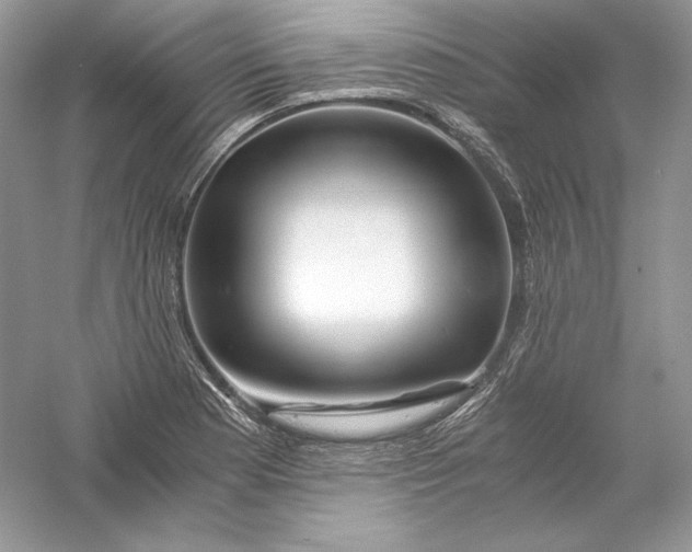 X0000056021177200509092131