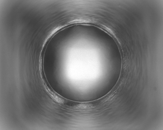 X0000056021179200509092131