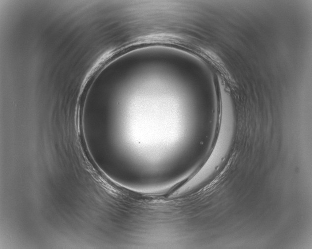 X0000056021180200509092131