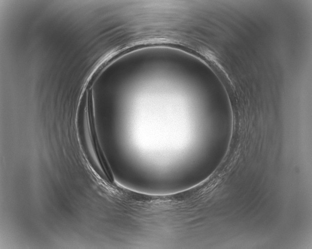X0000056021181200509092131
