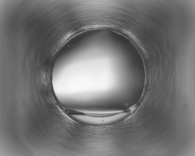 X0000056021185200509092131