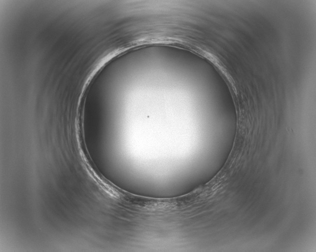 X0000056021187200509092131