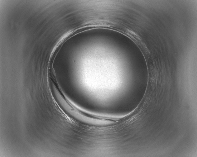 X0000056021188200509092131
