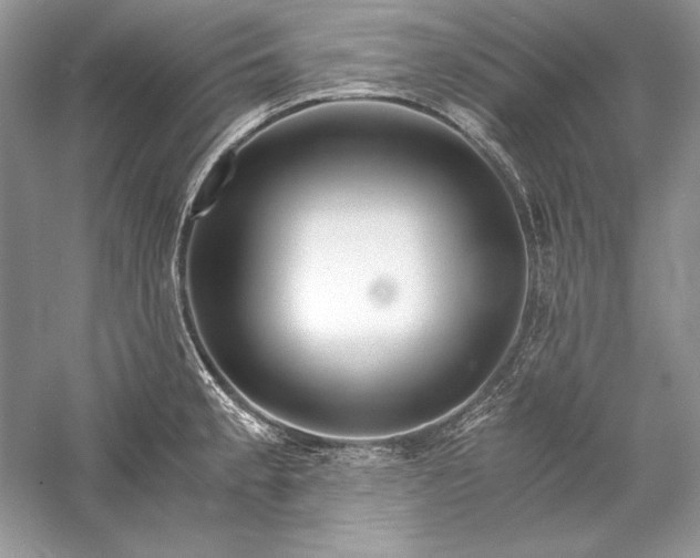X0000056021189200509092131