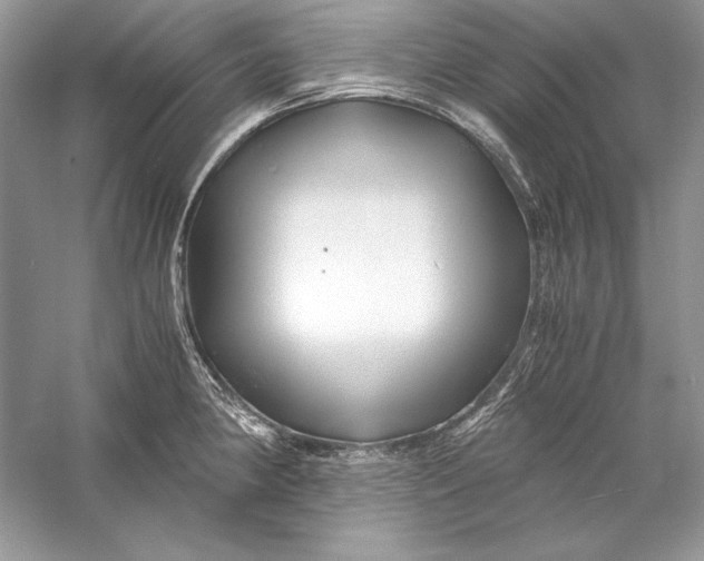 X0000056021190200509092131