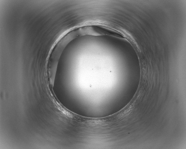 X0000056021192200509092131