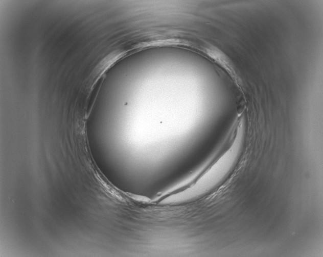 X0000056021193200509092131