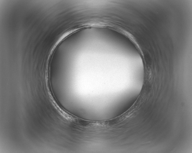 X0000056021195200509092131