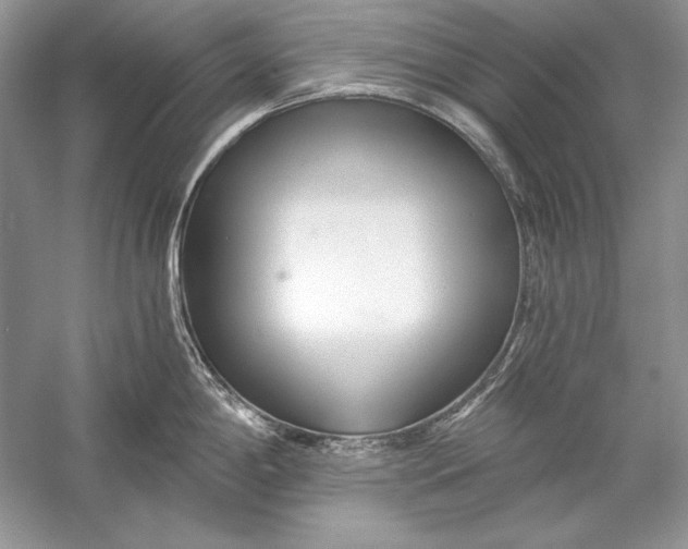 X0000056021198200509092131