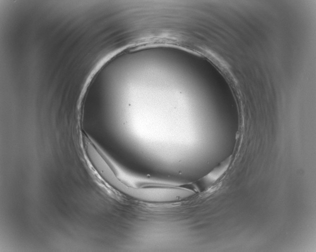 X0000056021200200509092131