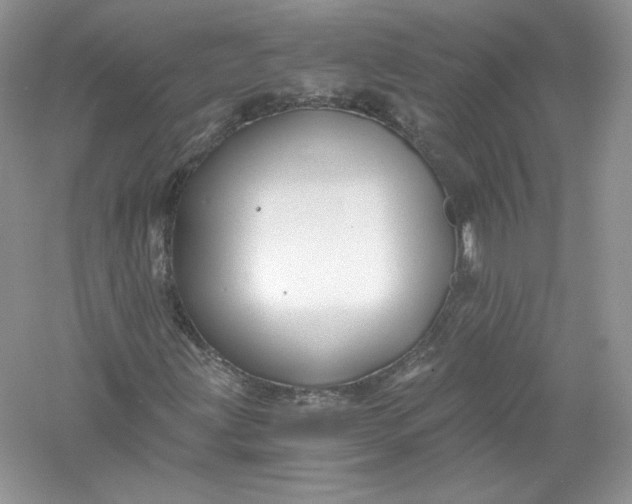 X0000056021203200509092130