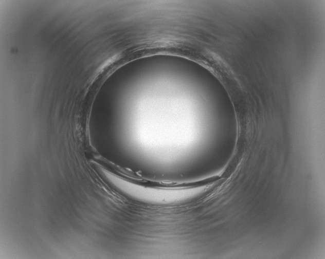 X0000056021210200509092130