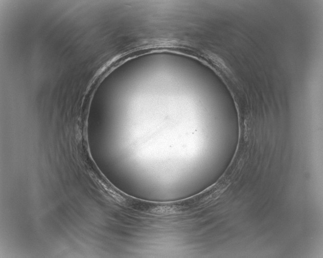 X0000056021212200509092130