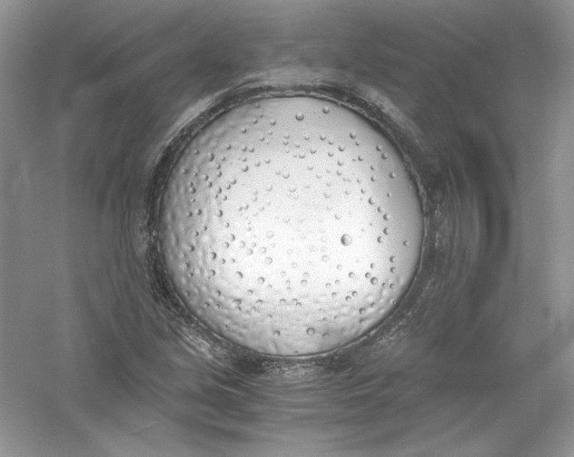 X0000056021213200509092130