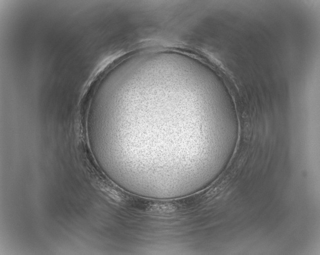 X0000056021215200509092130