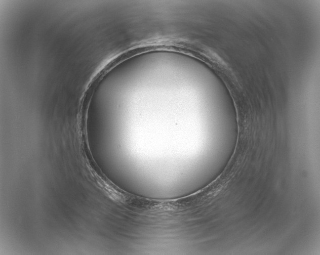 X0000056021216200509092130