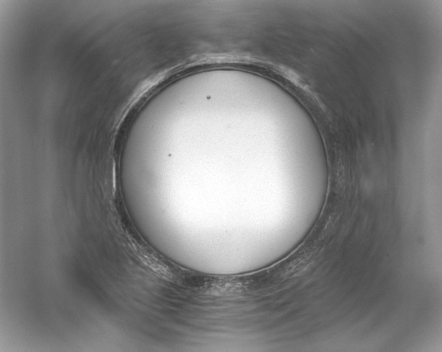X0000056021221200509092130