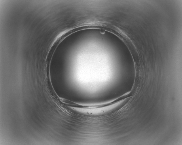 X0000056021222200509092130