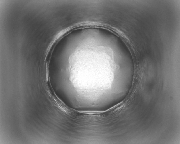 X0000056021223200509092130