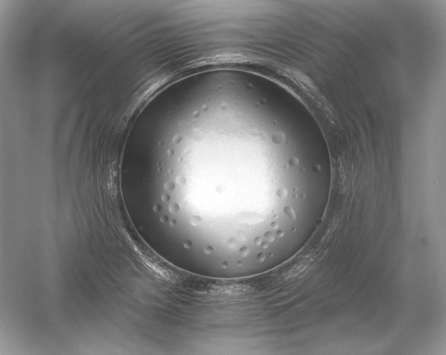 X0000056021225200509092130