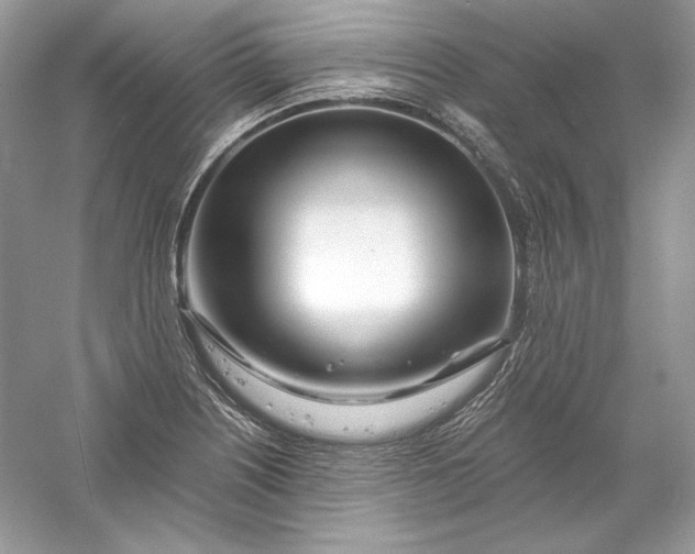 X0000056021226200509092130