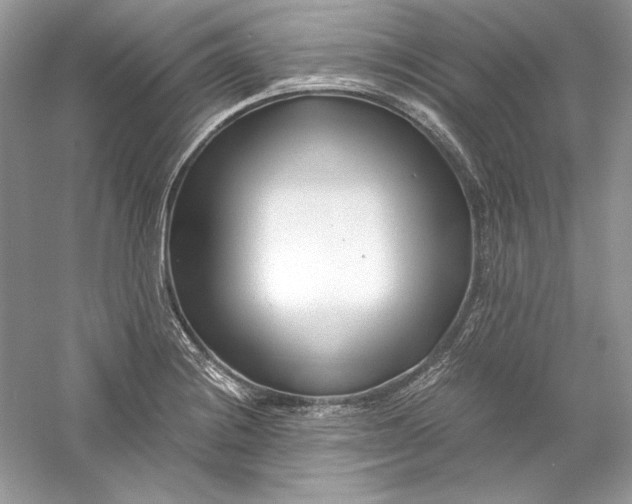 X0000056021228200509092130