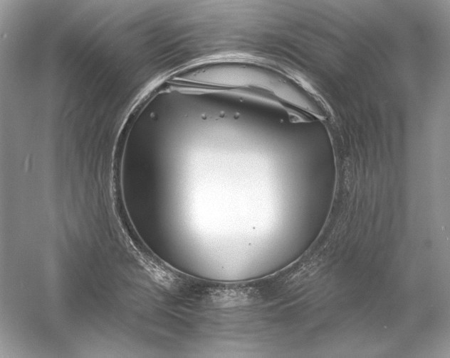 X0000056021229200509092130