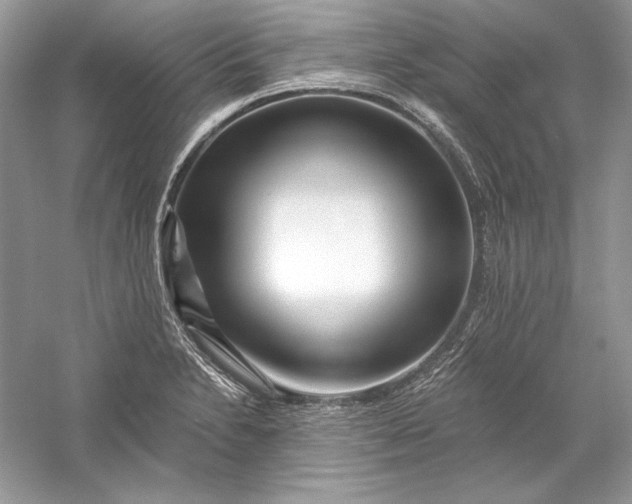 X0000056021230200509092130