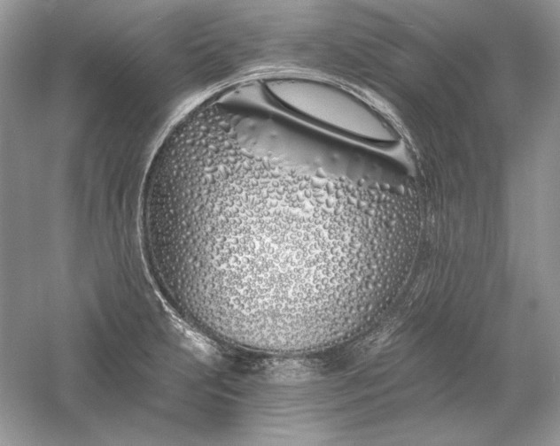X0000056021231200509092130